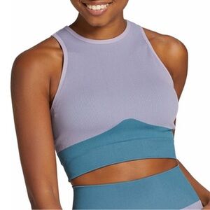 DSG TWITCH + ALLISON Seamless Sports Bra Lavender & Sapphire (size small)